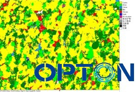 環(huán)境SEM測(cè)試